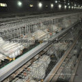 a Type Auutomatic Broiler Poultry Equipment Chicken Cage with High Quality